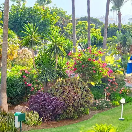 Golf Coast Alamos, Primera Linea De Playa Apartment